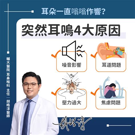 頭轉動耳朵有聲音|耳鳴怎麼辦？耳鼻喉科醫師解析原因、治療、解決方法